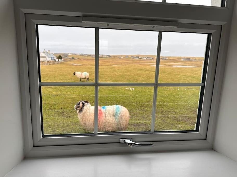 Modern Refurbished Church Nr Butt Of Lewis Beaches Port of Ness ภายนอก รูปภาพ